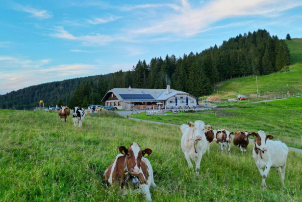 Buvette et Gîte de l’Hauta Chia