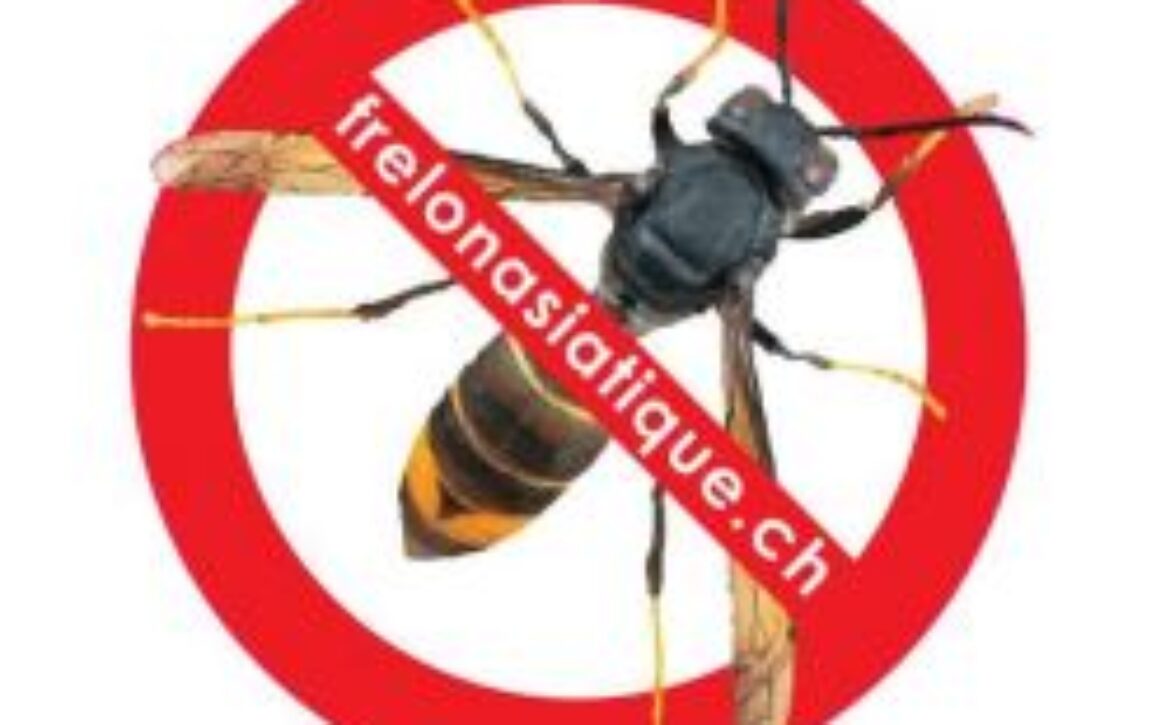 stop frelon