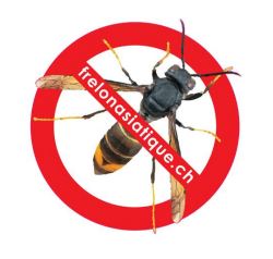 stop frelon